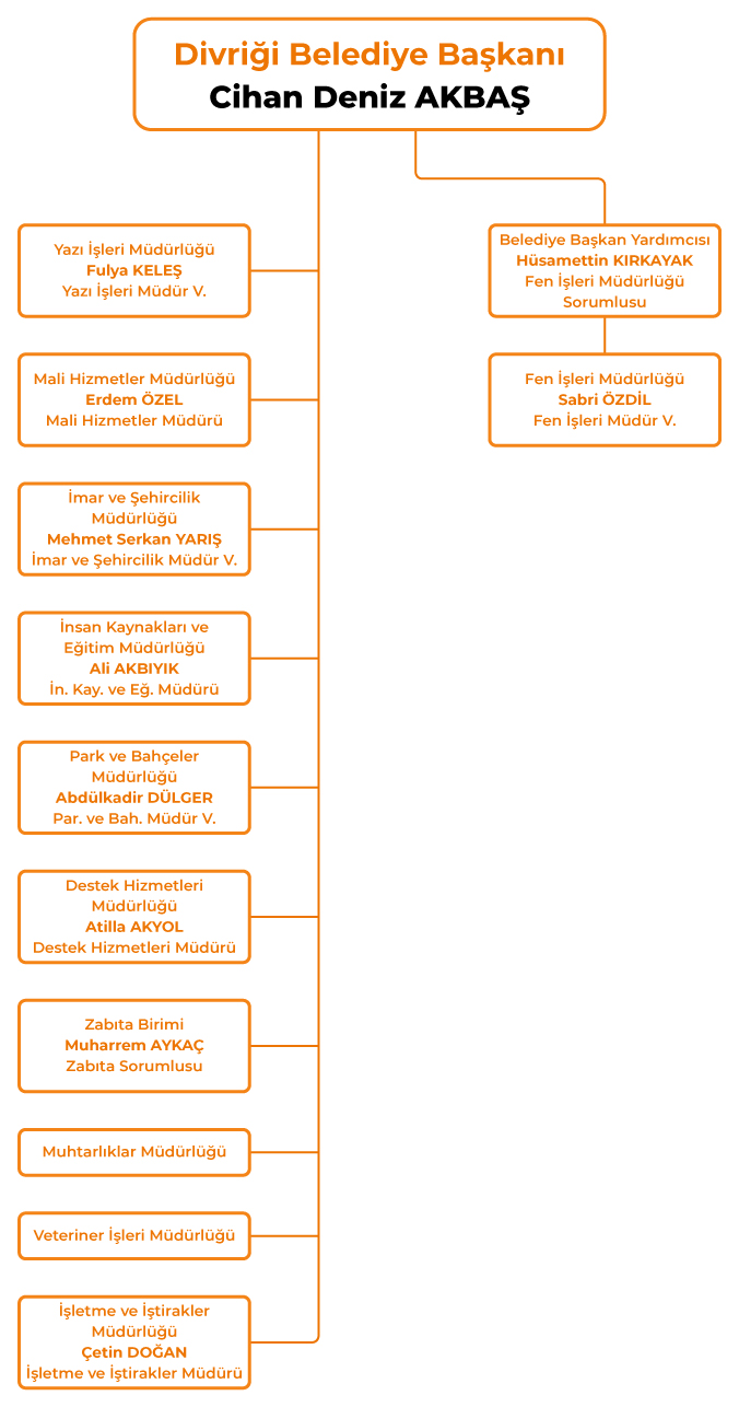 Organizasyon Şeması